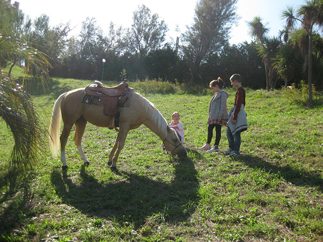2013-10-20-Cavallo-yellow-e-bambini